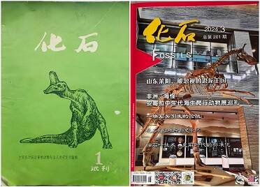 时隔52年！莱阳与“新中国第一龙”再登《化石》期刊封面